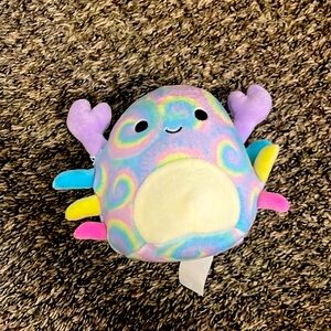 Rainbow squish, mellow